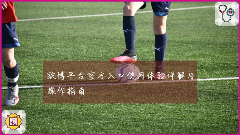 欧博平台官方入口使用体验详解与操作指南