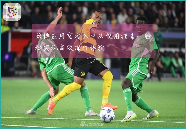 欧博应用官方入口及使用指南，轻松实现高效操作体验