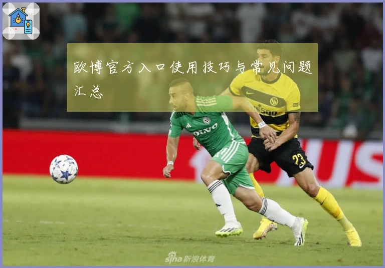 欧博官方入口使用技巧与常见问题汇总