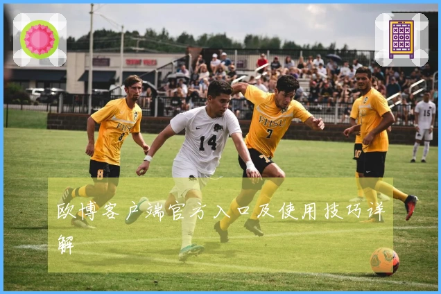 欧博客户端官方入口及使用技巧详解